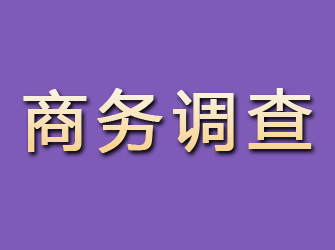 惠山商务调查